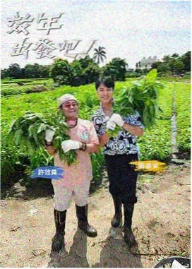 真空少女美术风格分析资讯配图